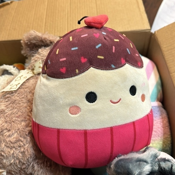 Squishmallows stuff toys lot for children GUC - Picture 15 of 15